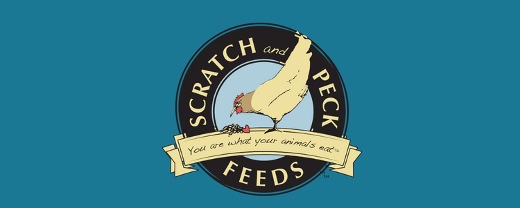 Scratch & Peck