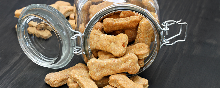 Dog Treats