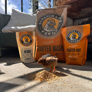 Scratch & Peck Starter Mash Bundle(Shipping Included)