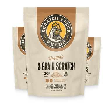 Scratch & Peck Warm Weather Snack Pack(Shipping Included)